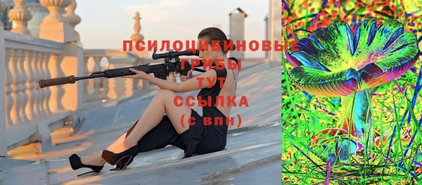 дурь Семёнов