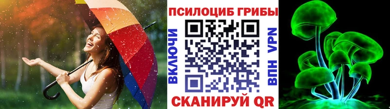 Псилоцибиновые грибы Psilocybine cubensis  KRAKEN ТОР  Кропоткин 